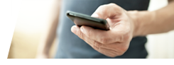 SMS Para